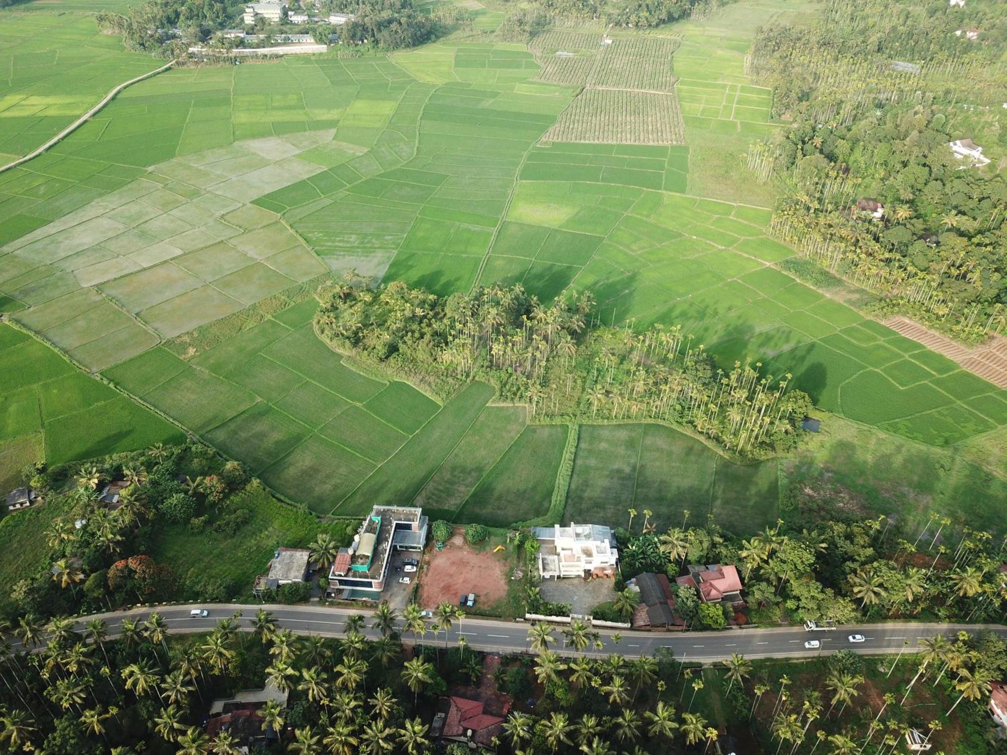 Paddyfield Inn Mananthavady Eksteriør billede